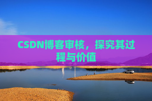 CSDN博客审核,探究其过程与价值